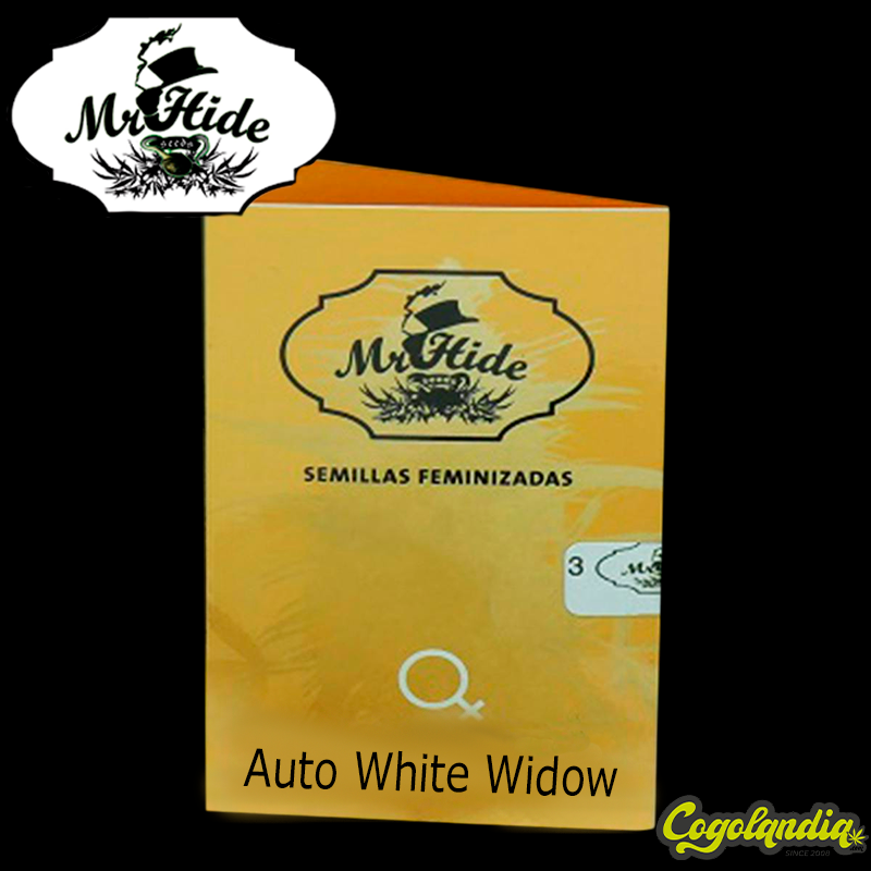 Auto White Widow - Mr Hide Seeds