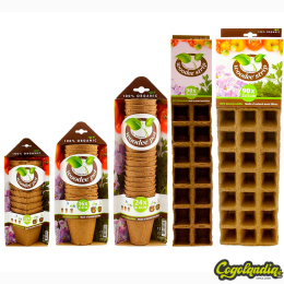 WOODEE POTS Cultivo