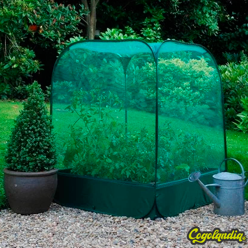 Pop Up Malla para Grow Bed - Garland