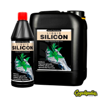 Liquid Silicon - Growth Technology