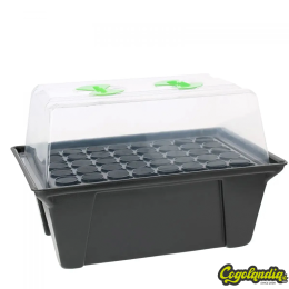 Propagador X-Stream - Nutriculture