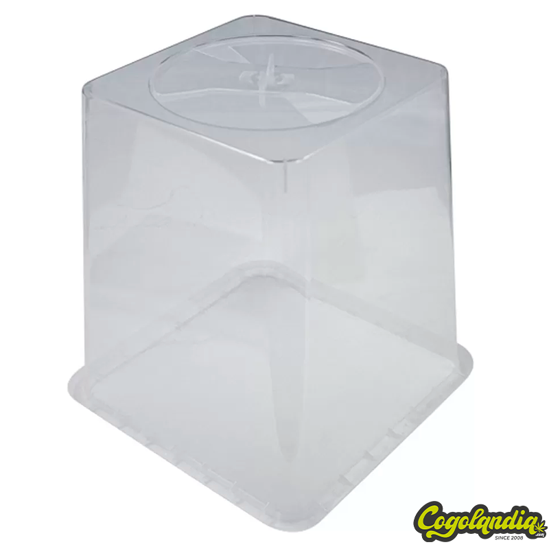 Protector 11L - Wilma 