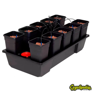 Sistemas Small - Wilma Hidroponía y Aeroponía