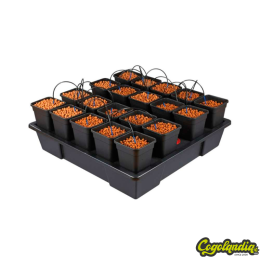 Sistemas XXL - Wilma