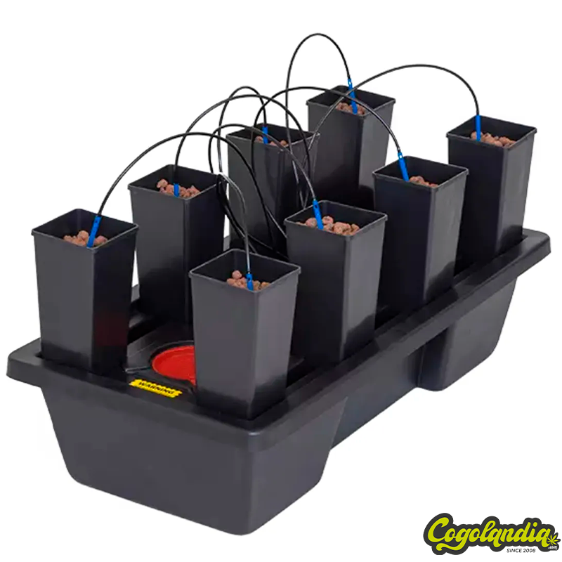 Sistema Mini 8 - Wilma 