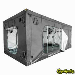 Mammoth Elite y Elite HC