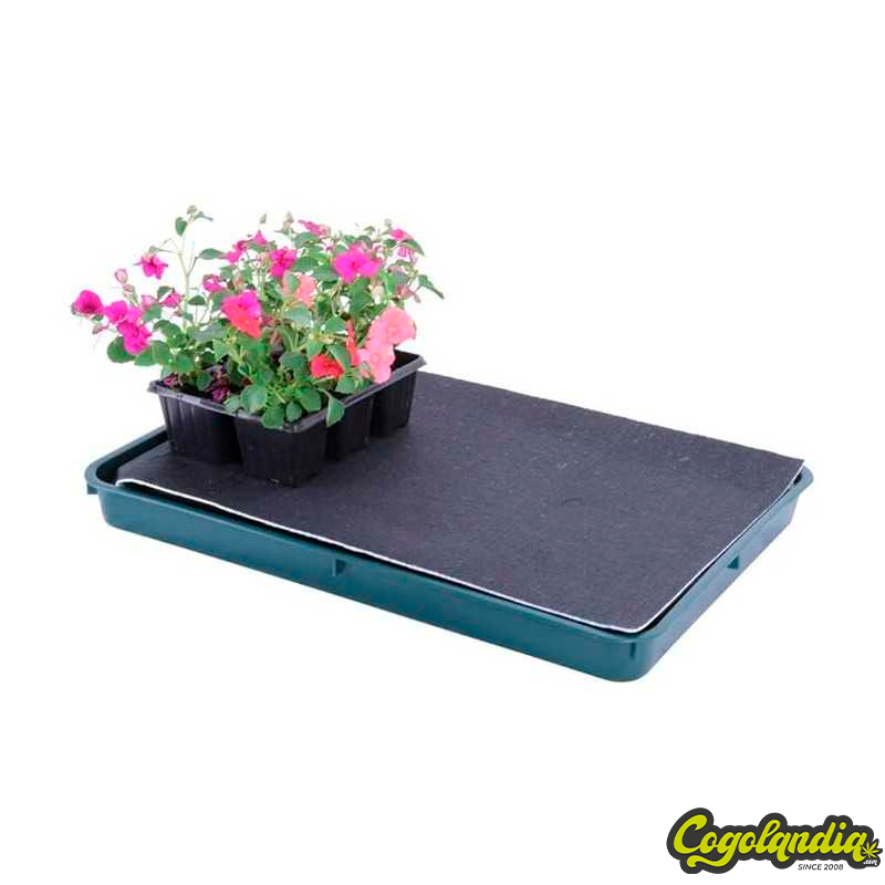 Bandeja Auto Riego (56X40CM)