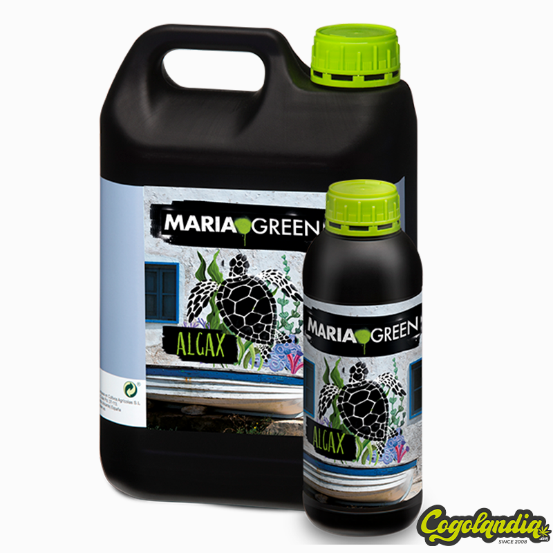 Algax Marinas - Maria Green