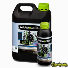 Algax Marinas - Maria Green