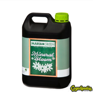 Mineral Bloom - Maria Green