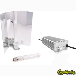 Kit Vanguard Clase I 600w