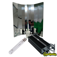 Kit Electrónico Solux 600w 