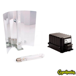 Kit Solux 1000 W CII Green Force Liso