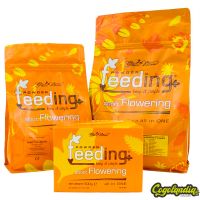 Short Flowering - Green House Feeding