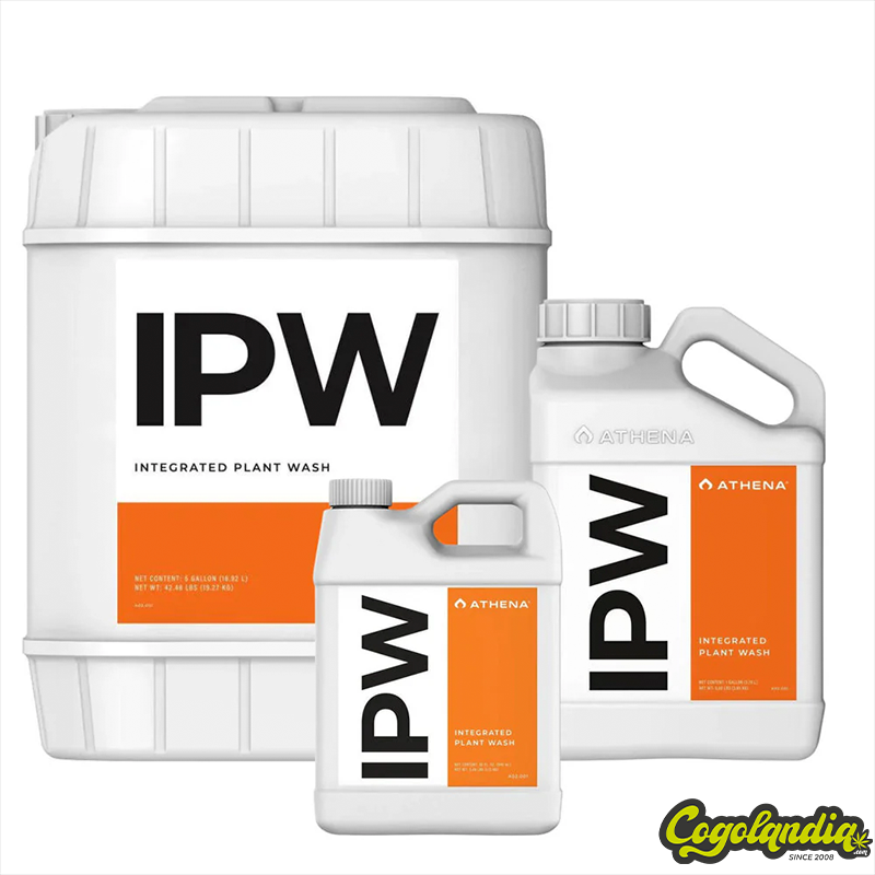 IPW - Athena