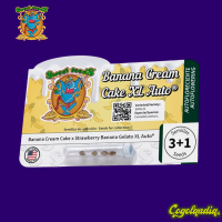 Banana Cream Cake XL Auto - Sweet Seeds