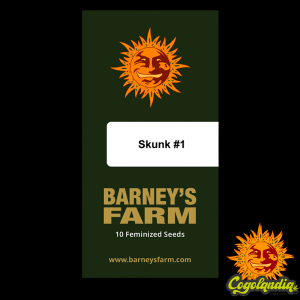 Skunk n1 - Barney's Farm Semillas Feminizadas