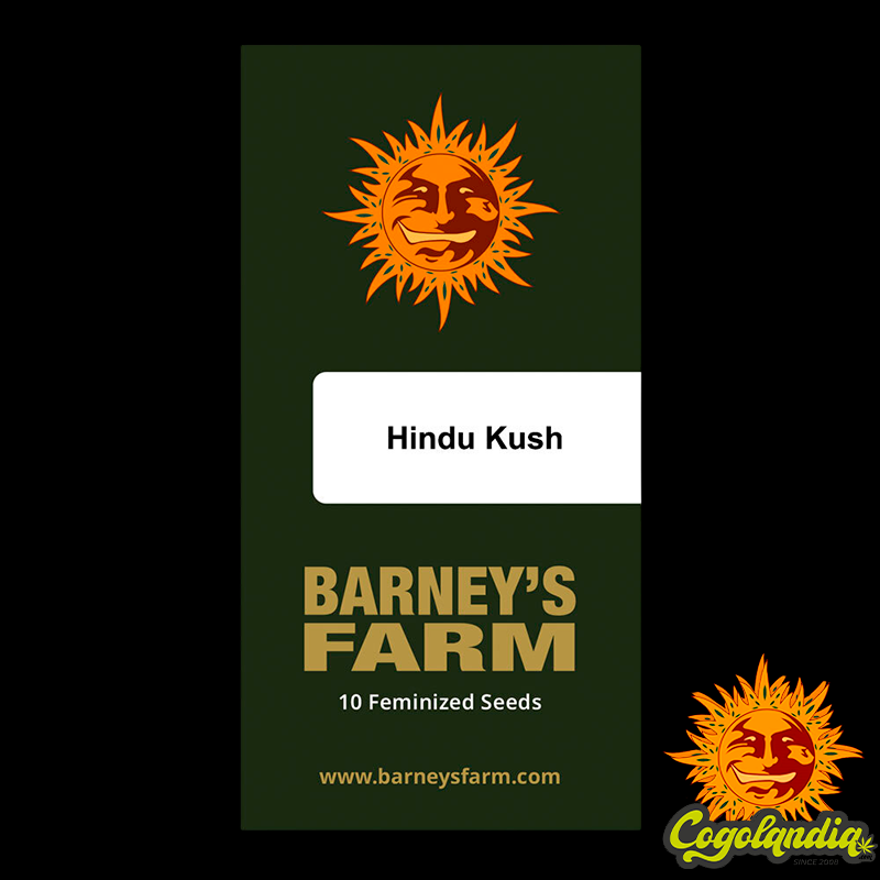 Hindu Kush - Barney's Farm 