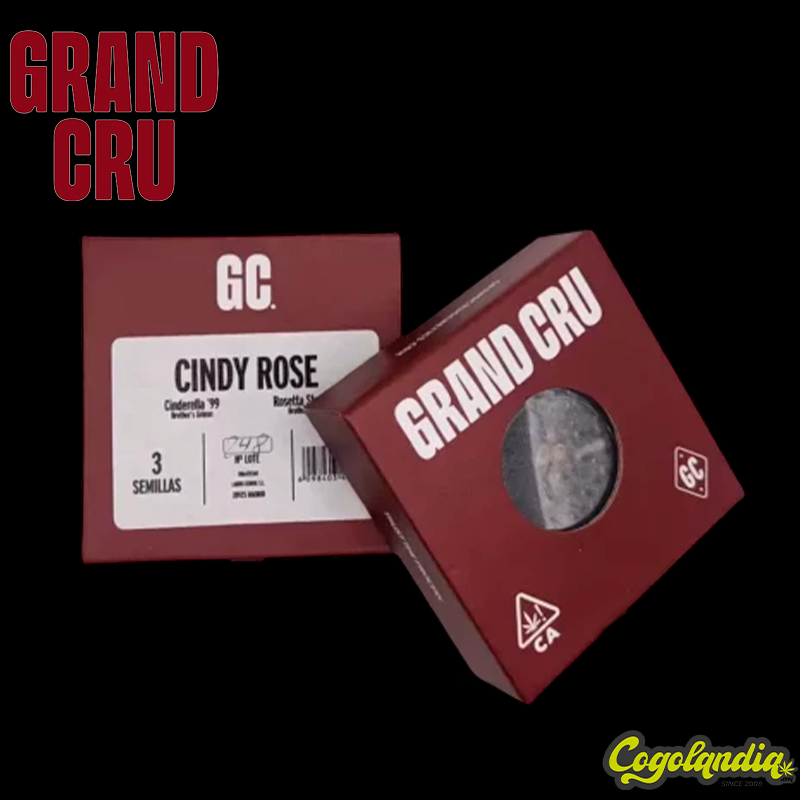 Cindy Rose - Grand Cru Genetics