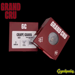 Grape Guava - Grand Cru Genetics Semillas Feminizadas