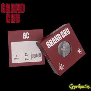 Iced Apples - Grand Cru Genetics