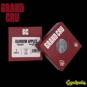 Rainbow Apples - Grand Cru Genetics