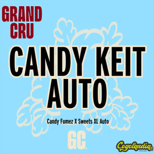 Candy Keit Auto XL - Grand Cru Genetics