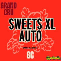 Sweets XL Auto - Grand Cru Genetics