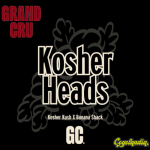 Kosher Heads Regular - Grand Cru Genetics