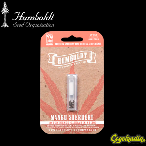 Mango Sherbet - Humboldt seeds