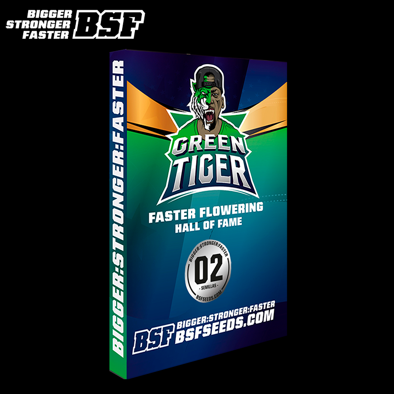 Green Tiges Fast Version - BSF Seeds Inicio