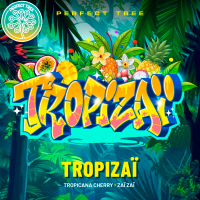 Tropizai Regular - Perfect Tree Inicio