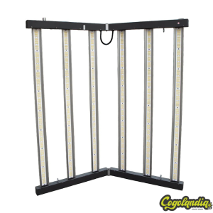 June DC LED Corelux 720 W 2.9 - Hortilight