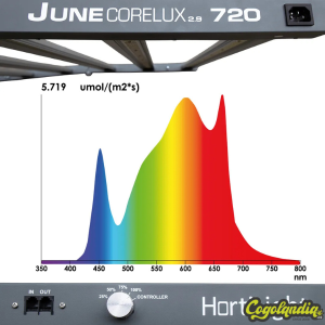 June DC LED Corelux 720 W 2.9 - Hortilight