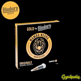 Mamba Negra- Blimbur