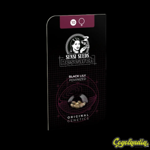 Black Lily - Sensi Seeds 