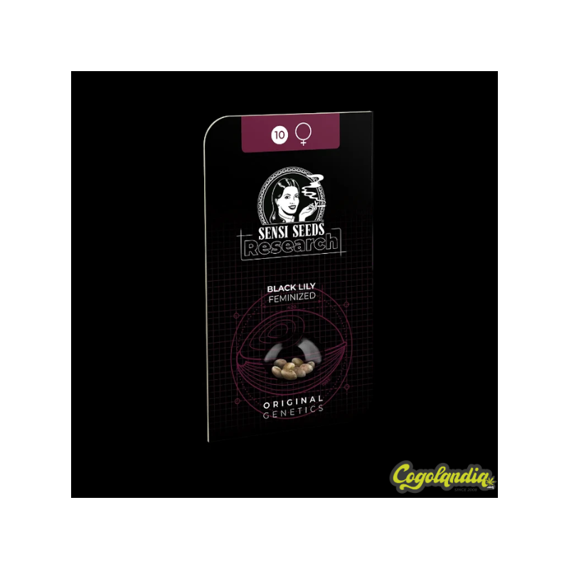 Black Lily - Sensi Seeds 