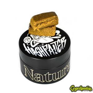 Hashfaiter - Natural Suit