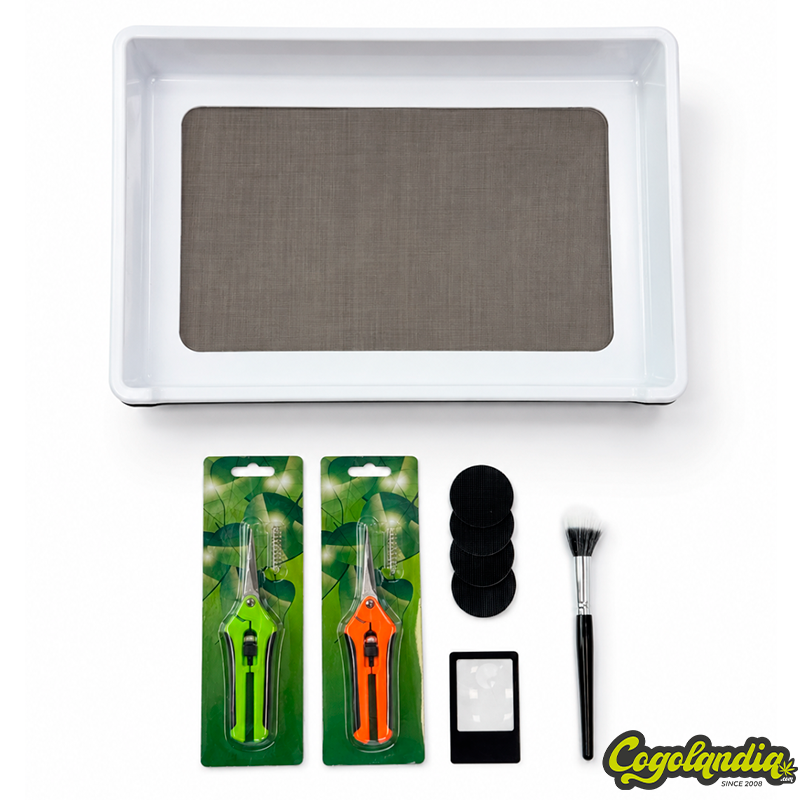 KIT Bandeja Trimming Tray + Accesorios - Poppins Lab Macetas y