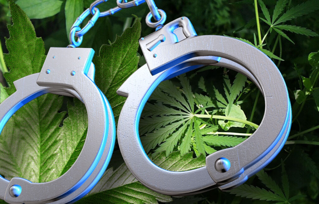 Origenes de la criminalización de la marihuana