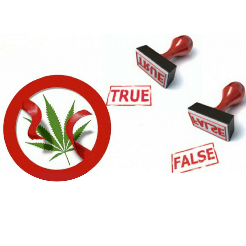 cuales son los mitos más falsos de la marihuana