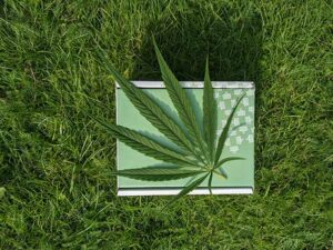fertilizantes-organicos-para-marihuana