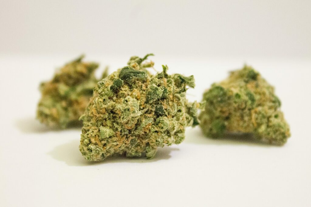 Cuánto tarda en crecer una planta de marihuana? Guía fácil✓