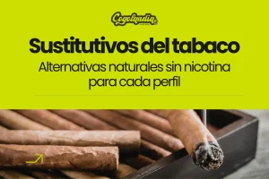 Portada de blog sobre sustitutivos del tabaco