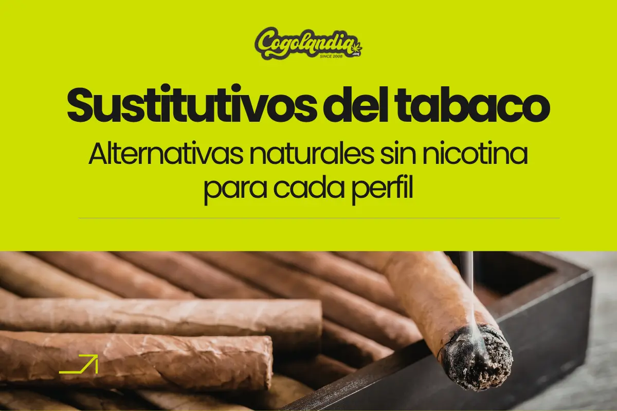Portada de blog sobre sustitutivos del tabaco