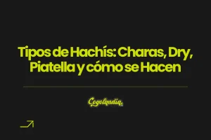 Tipos de Hachís portada blog cogolandia
