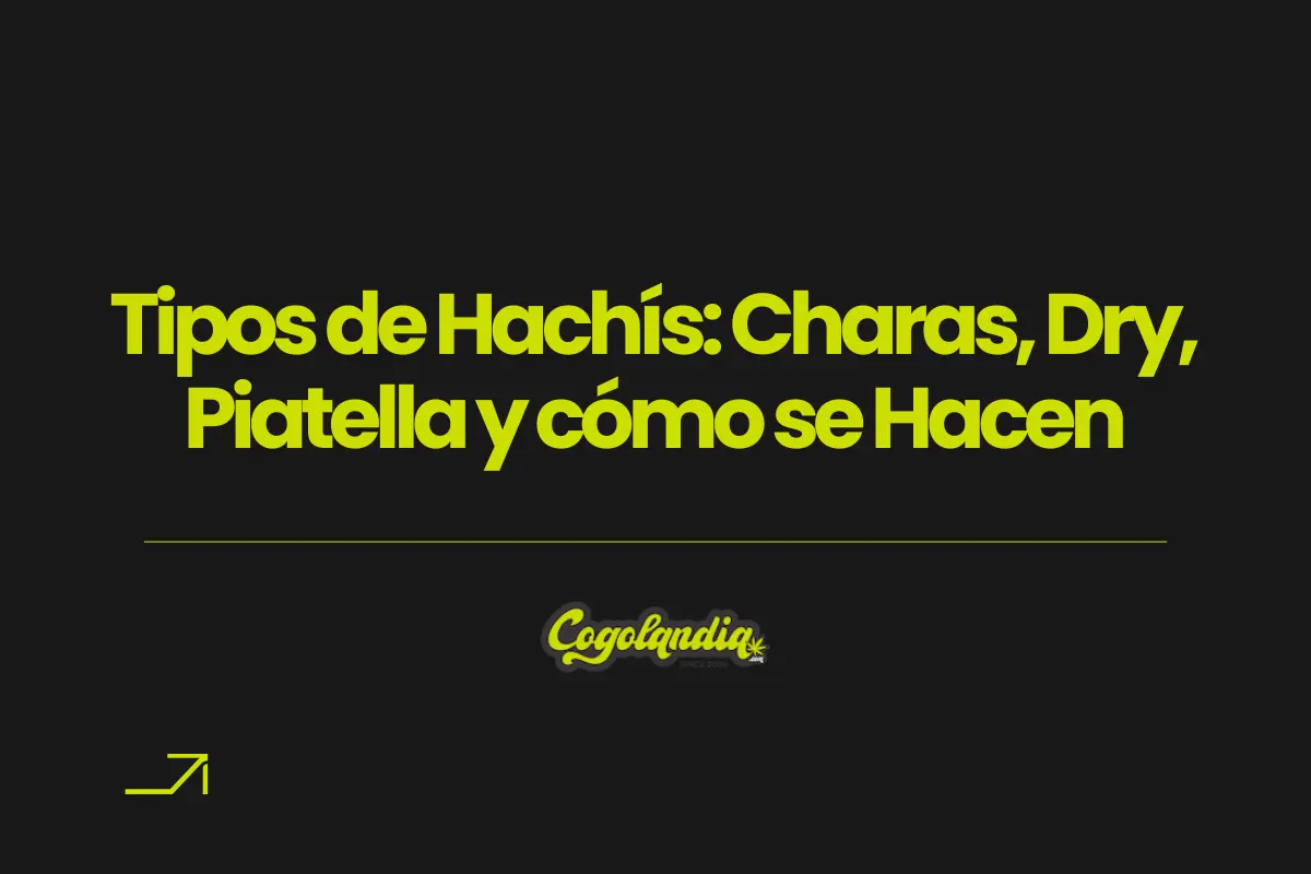 Tipos de Hachís portada blog cogolandia