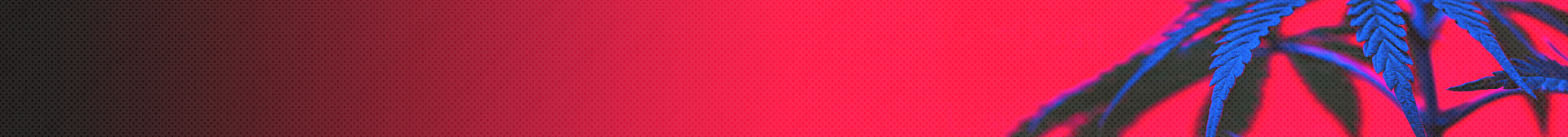 Balastros Electrónicos para Cultivo