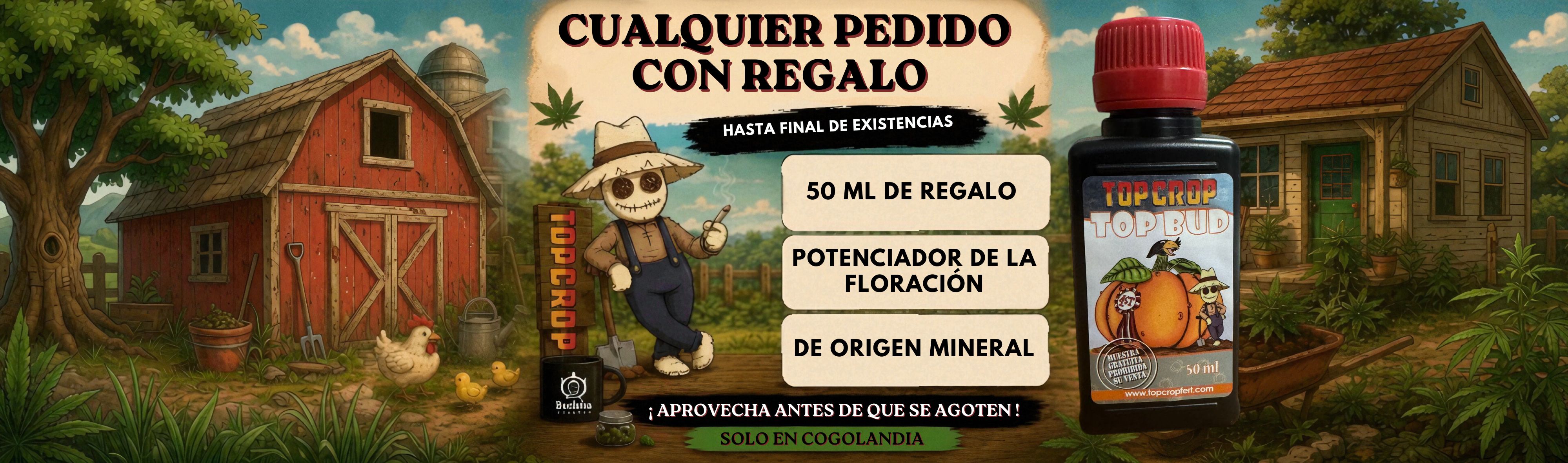 Slide background