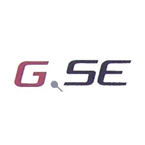 GSE